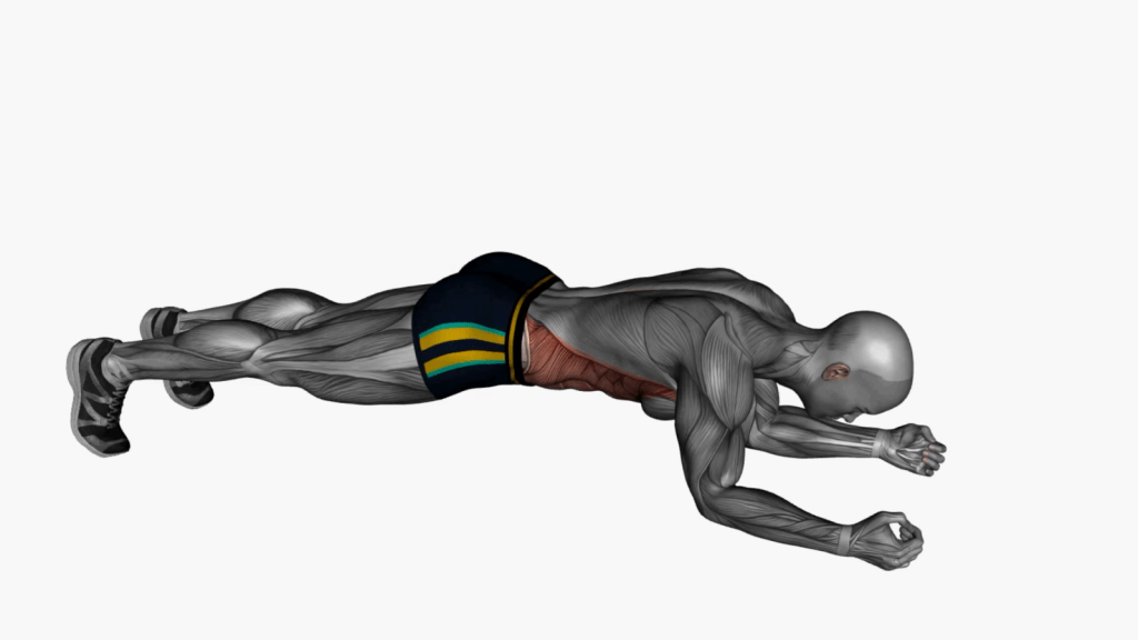 Boost Core Strength with Alternating Arm Leg Plank Hold