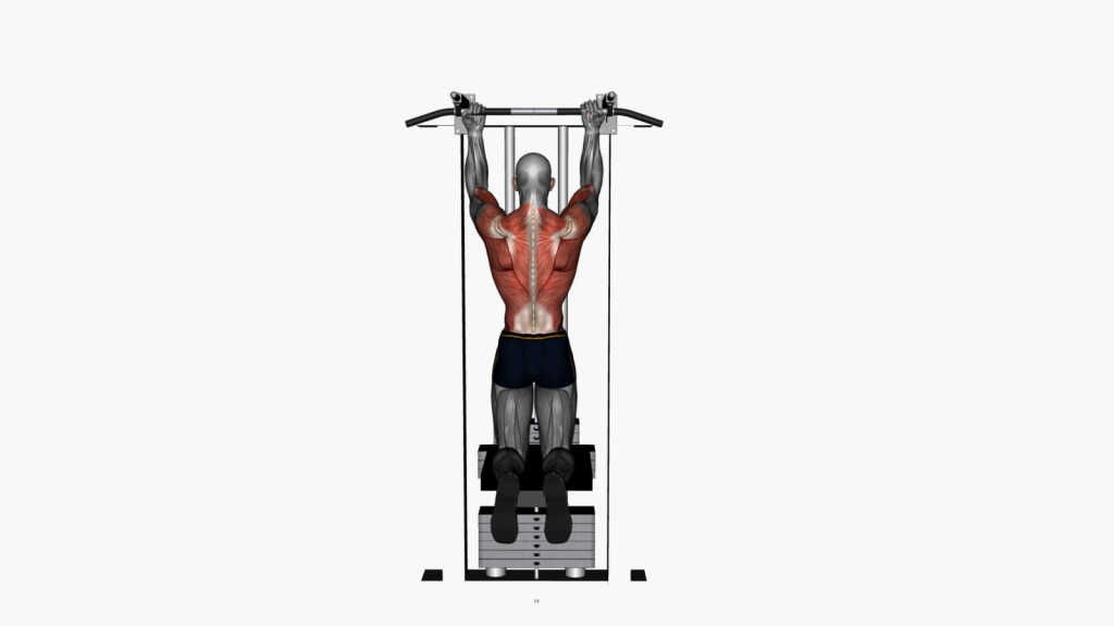 Mastering the Assisted Chin Up Reverse Wide Grip for Upper Body Strength