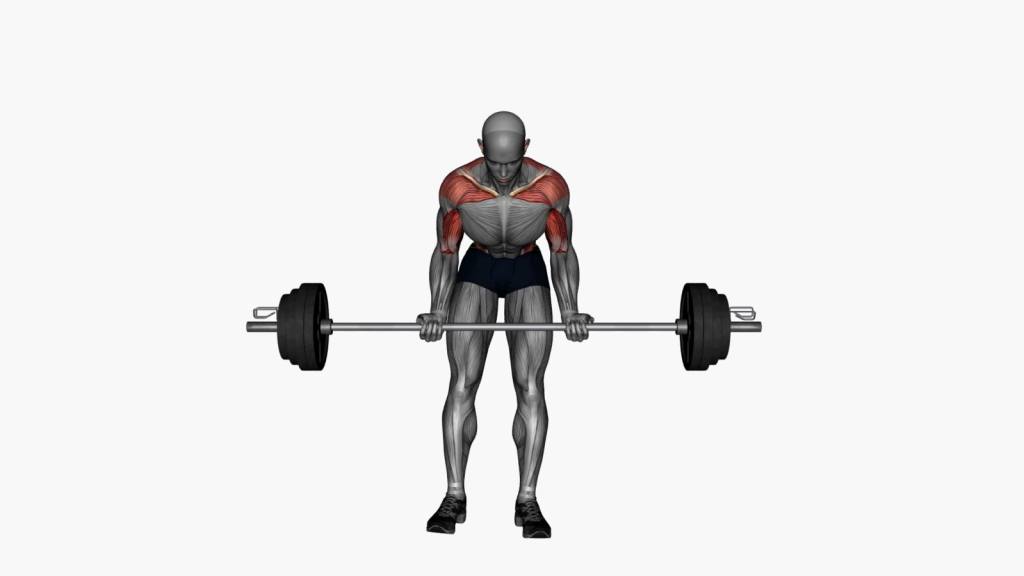 Master the Barbell Bent Over Row Pronated Grip for a Stronger Back
