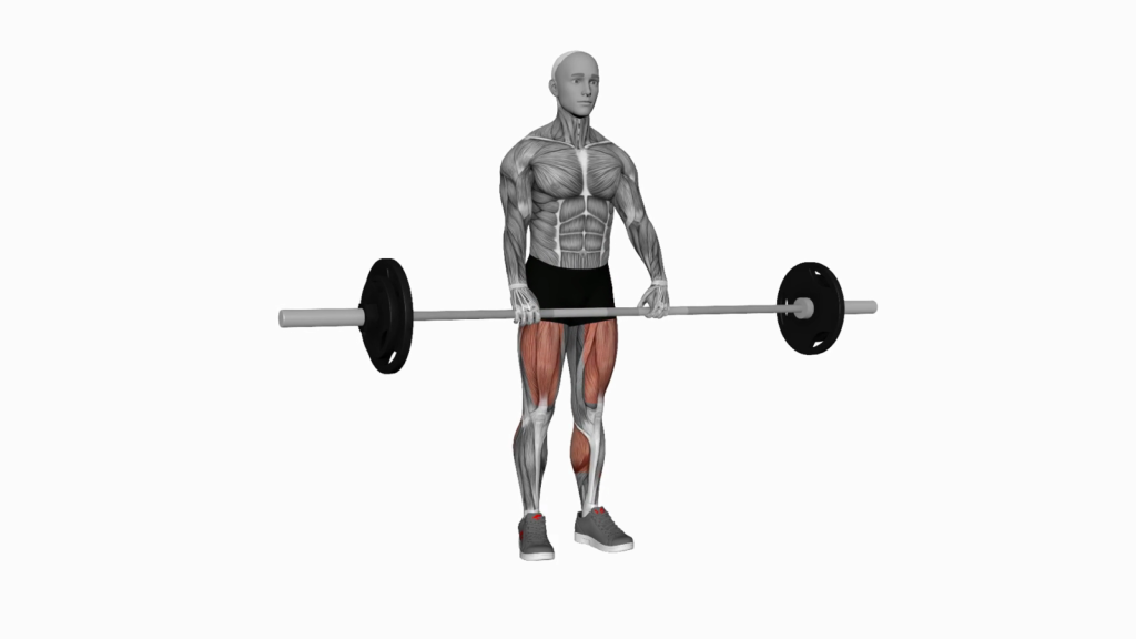 Master the Barbell Clean Deadlift: A Total-Body Strength Builder