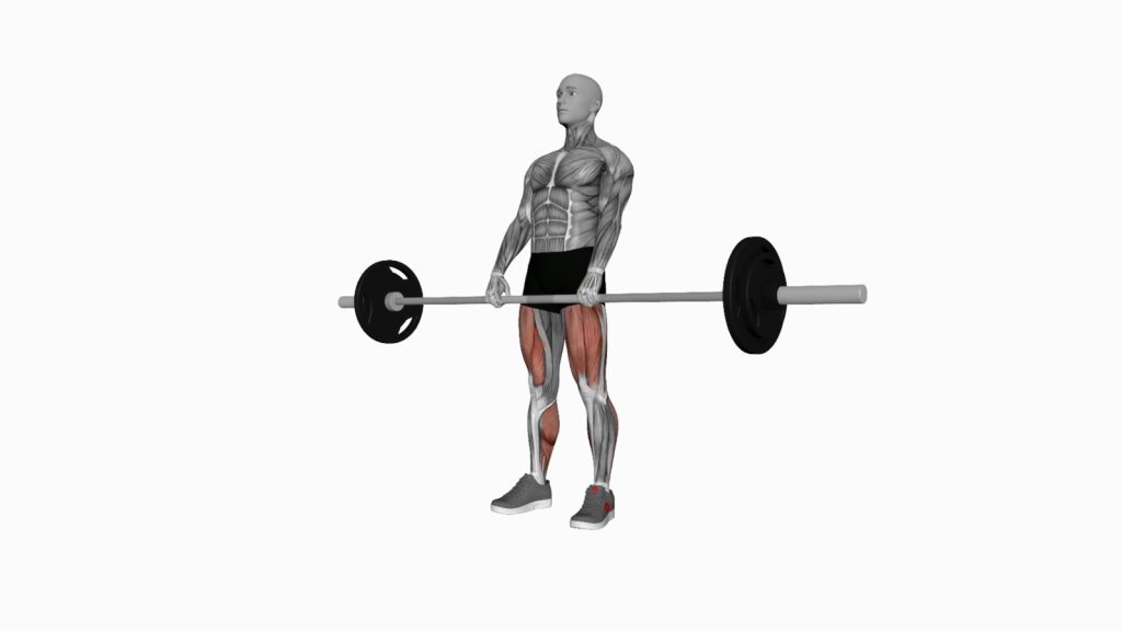 Mastering the Barbell Deadlift: A Complete Guide to This Power-Packed Exercise