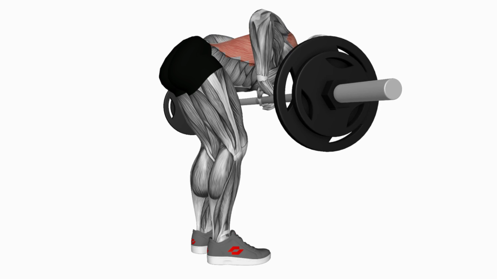 Master the Barbell Push Bent Over Row for a Strong Back