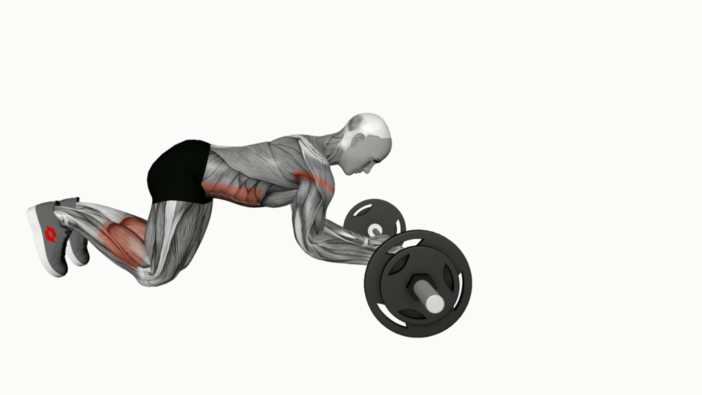 Mastering the Barbell Rollout: A Core-Strengthening Power Move