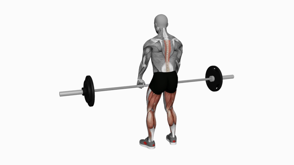 Master the Barbell Romanian Deadlift: A Complete Guide for Strength and Stability