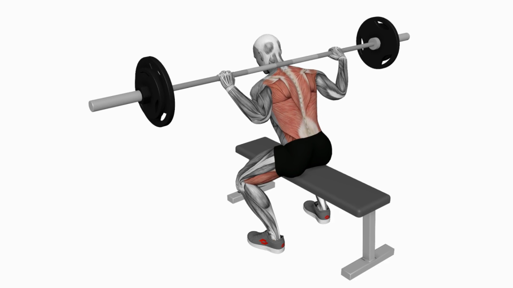 Barbell Seated Good Morning: A Targeted Lower Back Strengthening Exercise