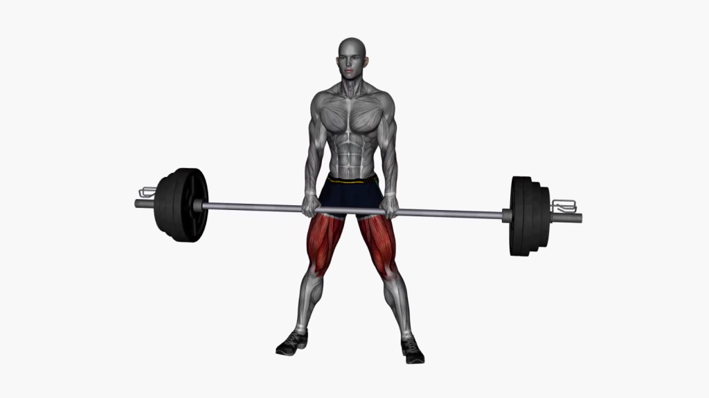 Mastering the Barbell Sumo Deadlift for Total Body Strength