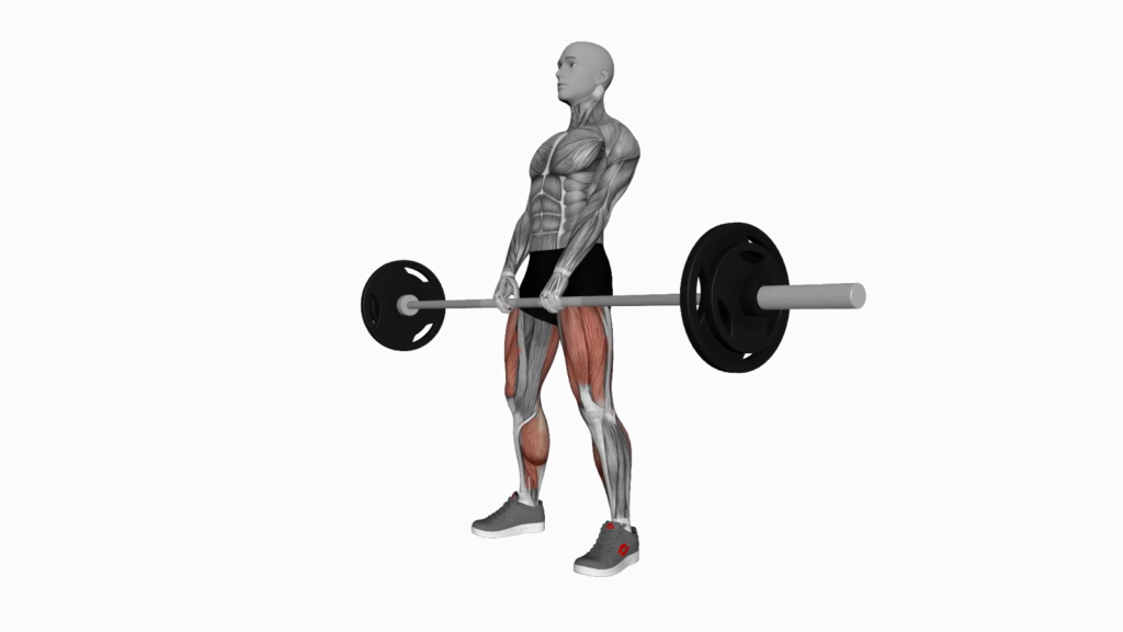 Mastering the Barbell Sumo Deadlift: Form, Benefits, and Tips