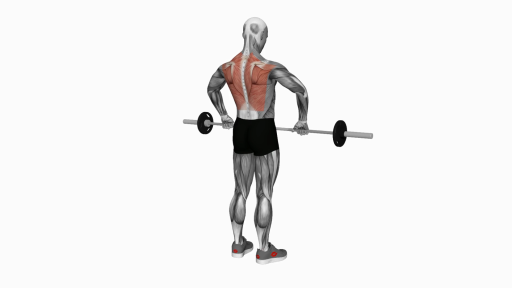 Master the Barbell Upright Row for Strong Shoulders
