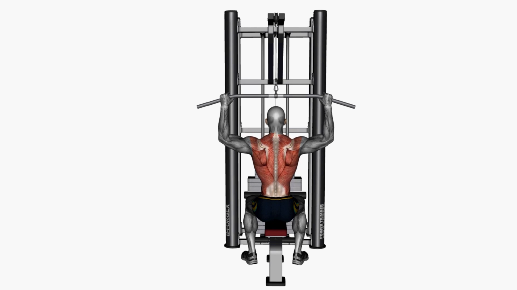 Mastering the Behind Neck Lat Pull Down Machine for a Stronger Back
