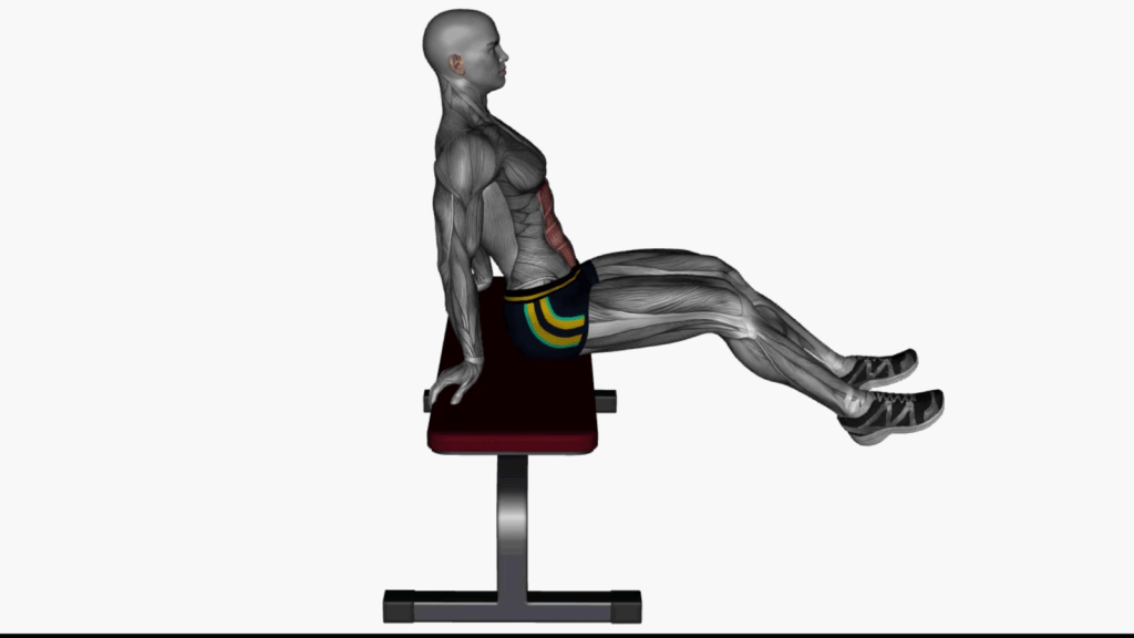 Effective Bench Knee Tucks: A Core-Strengthening Exercise Guide
