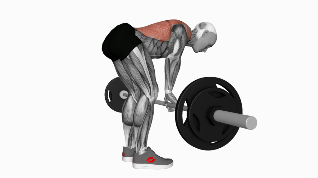 Mastering the Bent Over Barbell Row for a Strong Back