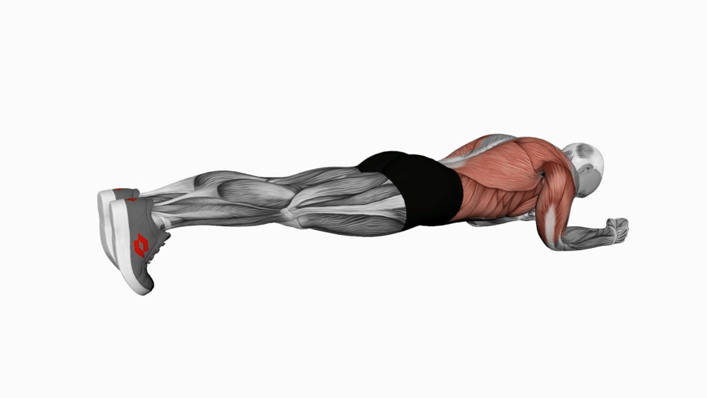 Maximize Core Strength with the Body Saw Plank Exercise