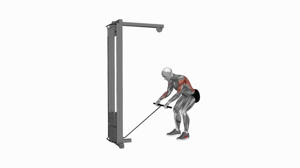 Mastering the Cable Bent Over Row: A Complete Guide for Upper Body Strength