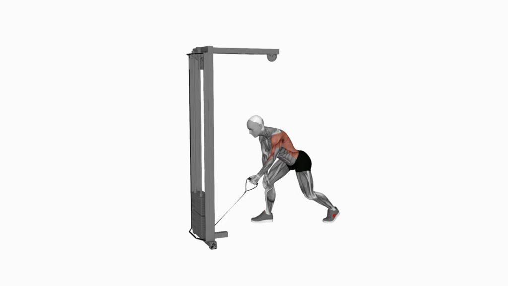 Effective Cable One Arm Bent Over Row: A Total Upper Body Workout