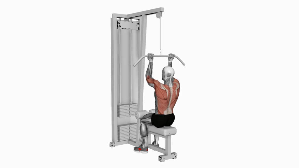 Boost Your Upper Body Strength with Cable Reverse Grip Straight Back Seated High Row