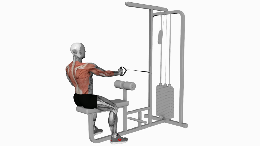 Cable Seated One Arm Alternate Row: A Complete Back Workout