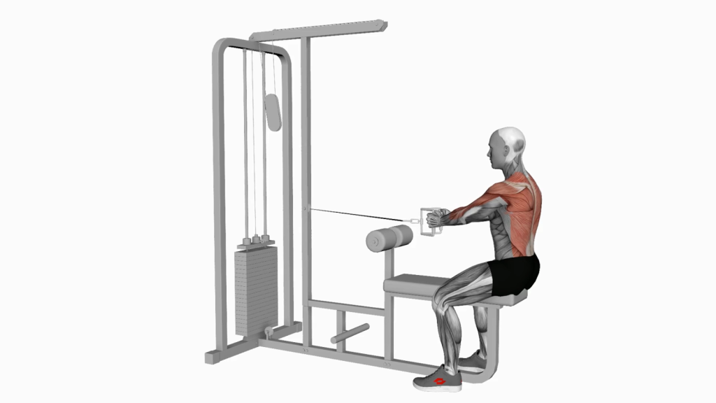 Effective Cable Seated Row With V-Bar Exercise for Back Strength