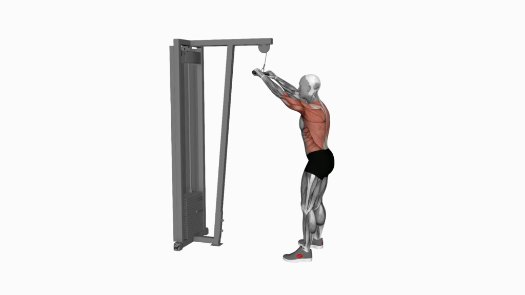 Mastering the Cable Straight Arm Pulldown: A Comprehensive Guide