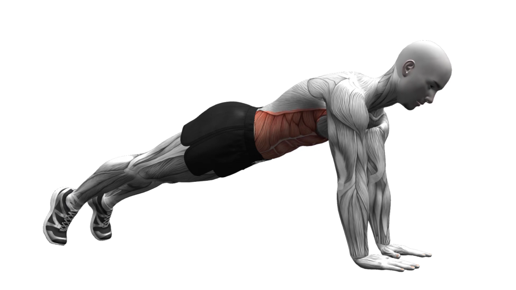 Master the High Plank: A Core-Strengthening Powerhouse