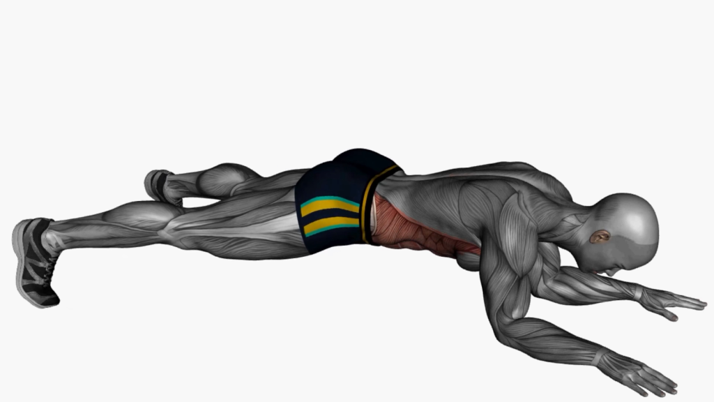 Mastering the Plank Jack: A Dynamic Core Workout for All Levels