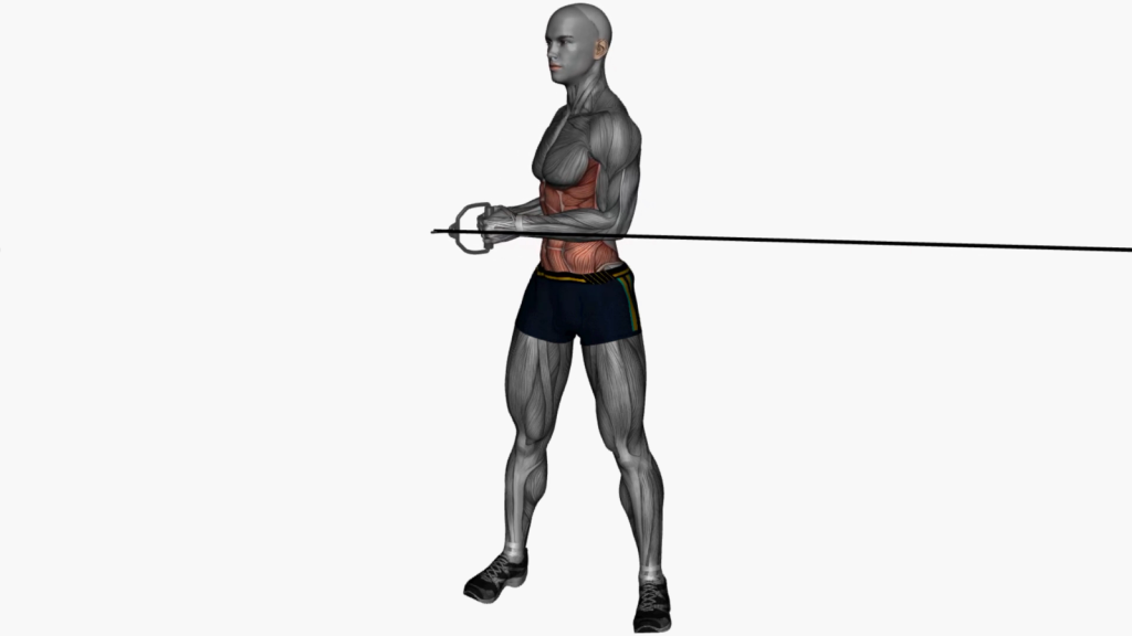 Standing Cable Oblique Twist for Stronger Core Muscles