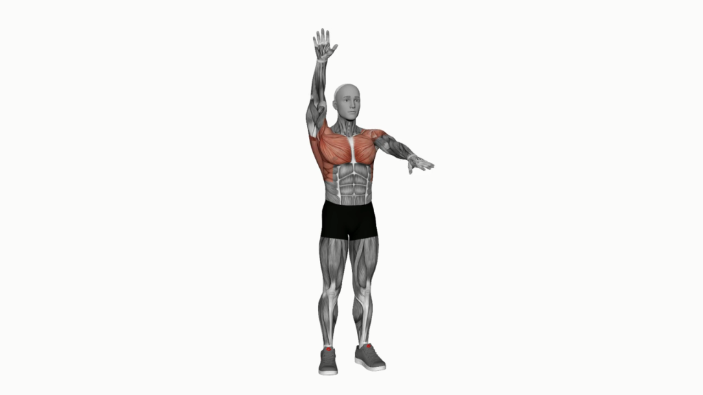 Beginner performing the Arms Up and Down Exercise, demonstrating proper posture and technique.