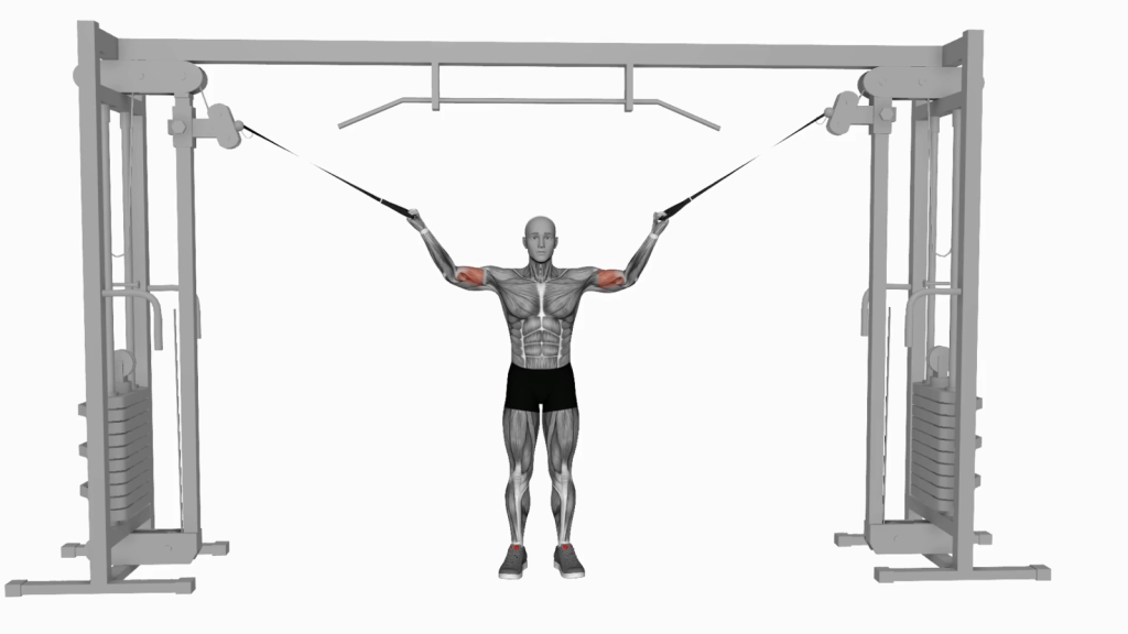 Beginner performing Cable Overhead Curl exercise in gym