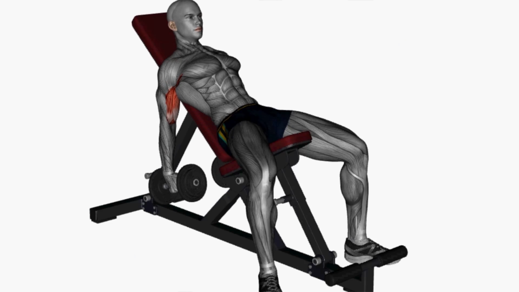 Incline Bench Hammer Curl Exercise Demonstration for Beginners