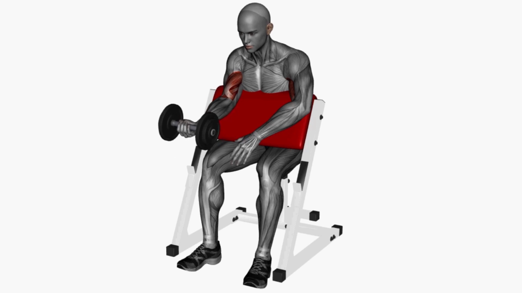 Beginner performing Preacher Curl with single arm dumbbell