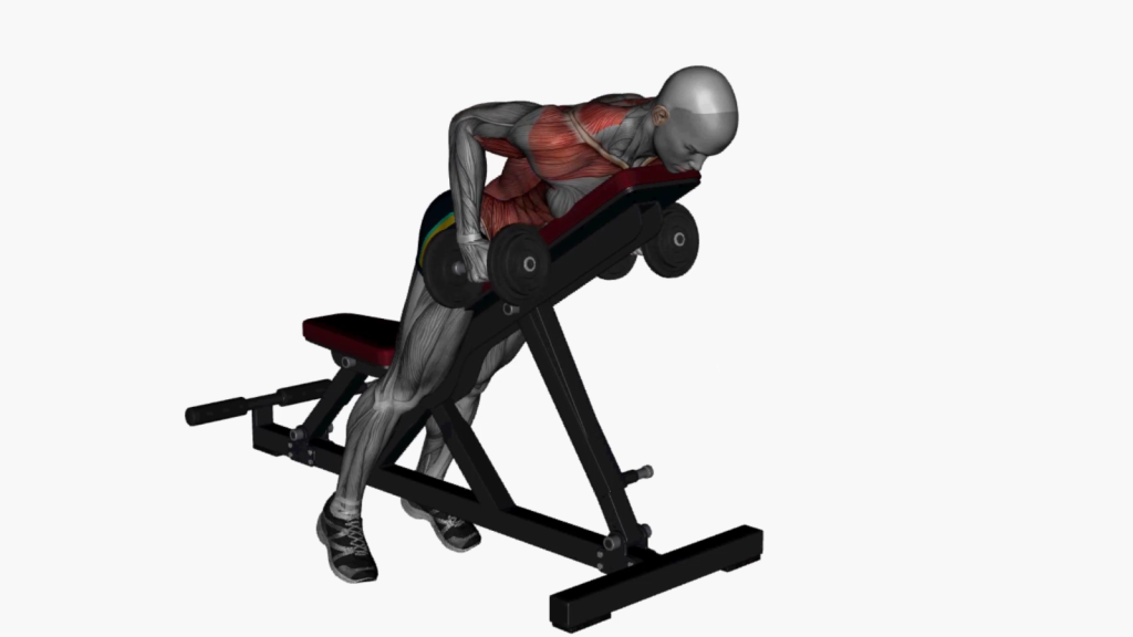 Person performing Prone Bench Row with Dumbbells on a bench, demonstrating proper form and technique.