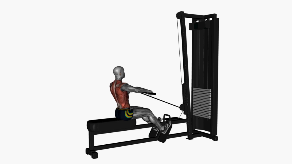 Beginner performing Seated Normal Grip Row on machine in gym