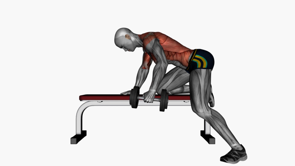Beginner performing Single Arm Bench Bent Over Row exercise with proper form