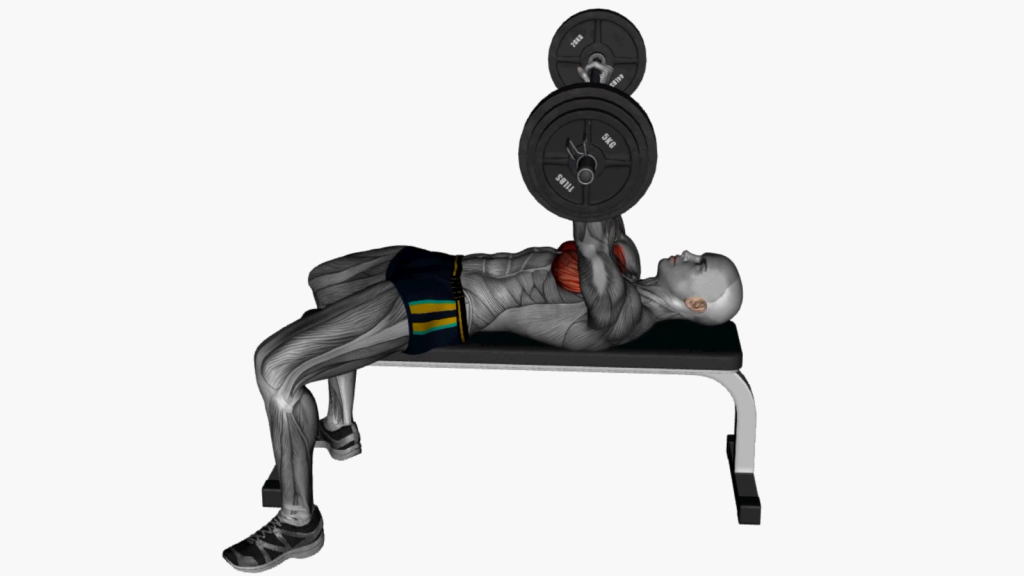 Beginner performing barbell bench press with correct form and safety measures