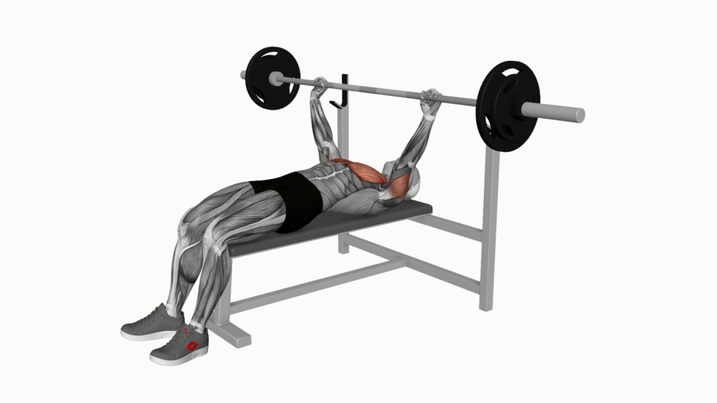 A beginner performing Barbell Bench Press V2 with correct posture and technique