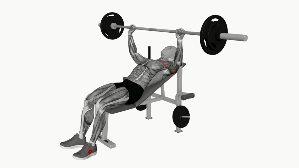 Beginner training with Barbell Incline Bench Press in a gym.