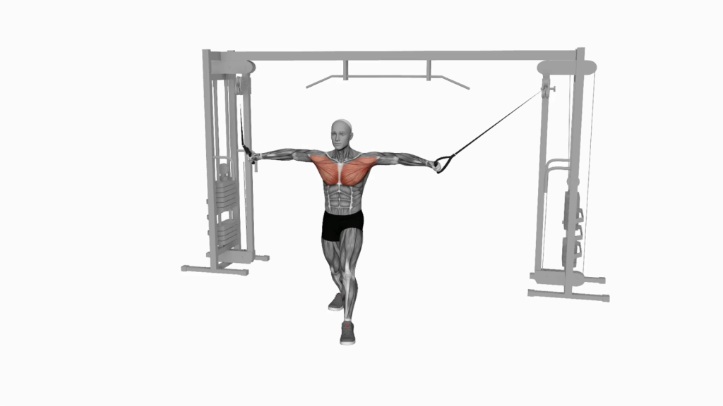 Novice gym-goer executing Cable Standing-Up Straight Crossovers with proper form