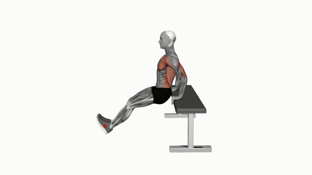 Beginner doing chest dip on bench exercise with correct posture.