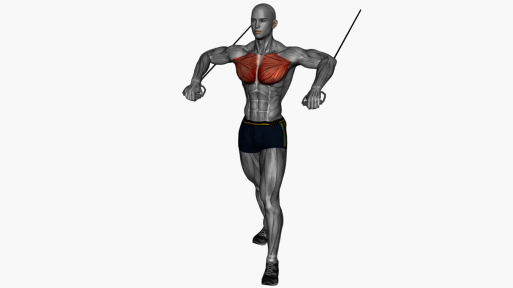 Beginner executing Chest Press High to Low Cable exercise with resistance bands for upper body strength.