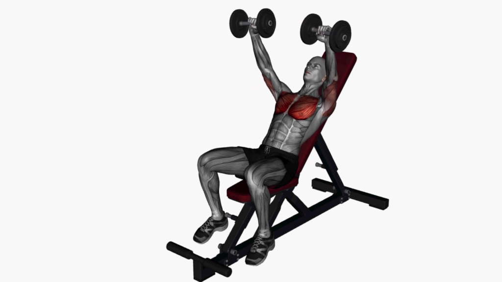 Beginner performing incline dumbbell chest press with correct posture and weights