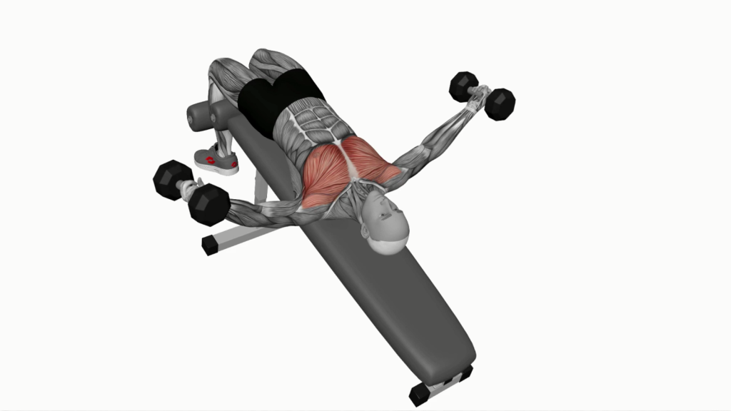 Beginner executing Dumbbell Decline Fly exercise for chest strengthening.