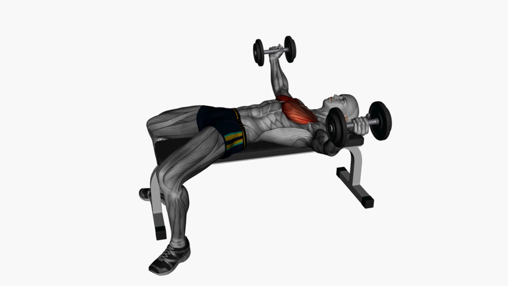 Beginner performing Dumbbell Fly on Flat Bench with focus on form and slow movement