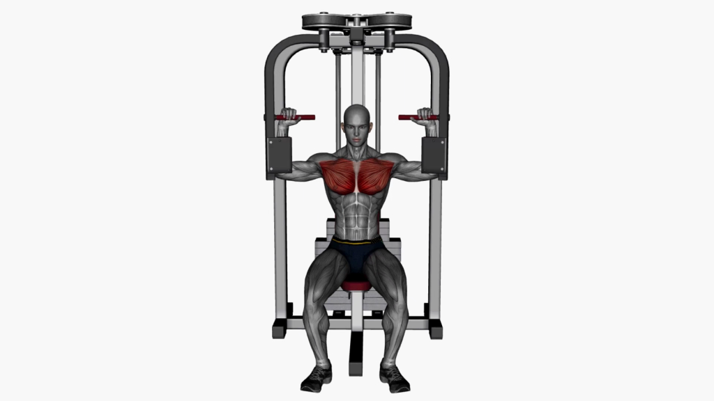Beginner using Pec Deck Fly Machine with correct posture for chest workouts
