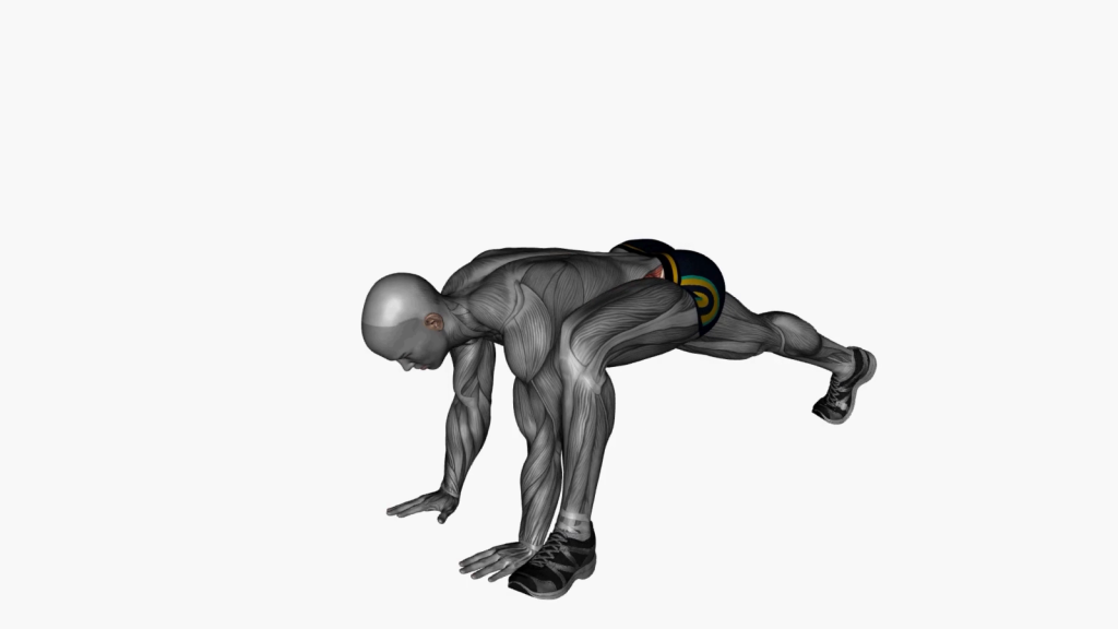 Beginner doing plank lunges exercise focusing on proper technique and alignment.