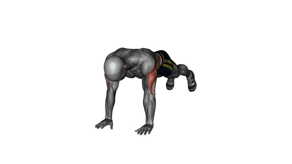 Beginner doing Plank Shoulder Taps, demonstrating correct posture and alignment for effective core strengthening.