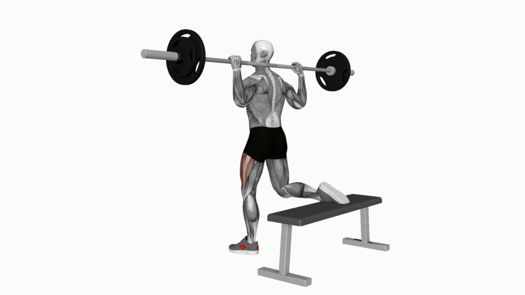 Beginner executing Barbell Bulgarian Split Squat with correct posture, showcasing the exercise in action.