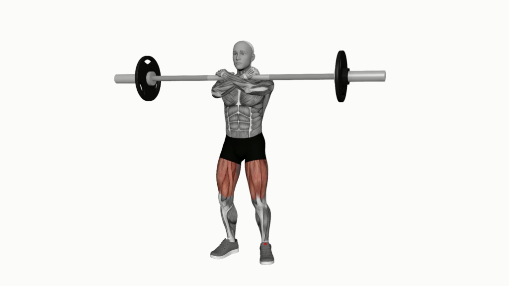 Illustration of a beginner performing a barbell front squat with correct form