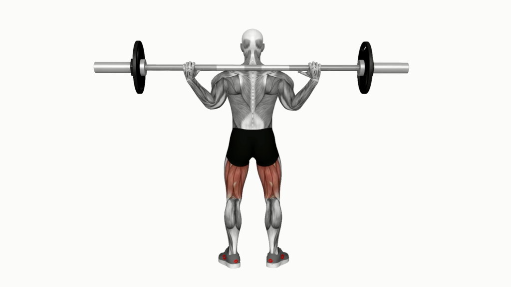 Beginner performing Barbell Full Squat with correct form and posture