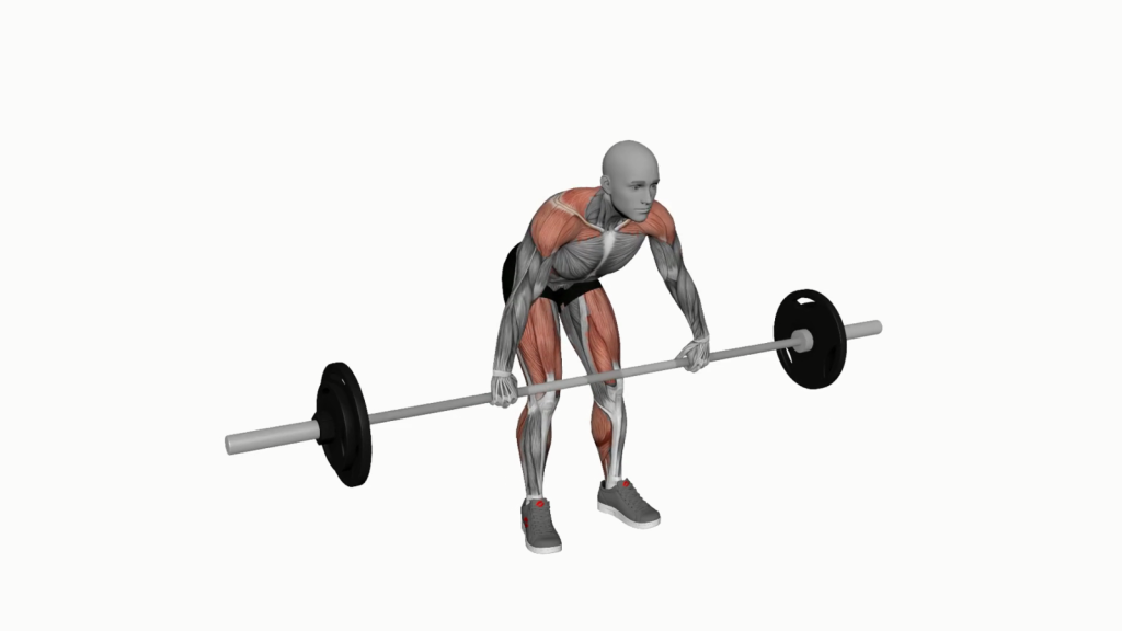 Beginner executing a Barbell Power Clean with proper form