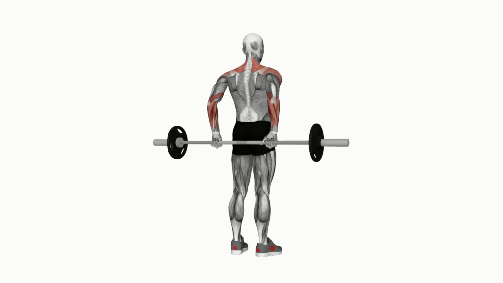 Person performing Barbell Rear Delt Raise exercise with correct posture, highlighting the targeted rear deltoid muscles.