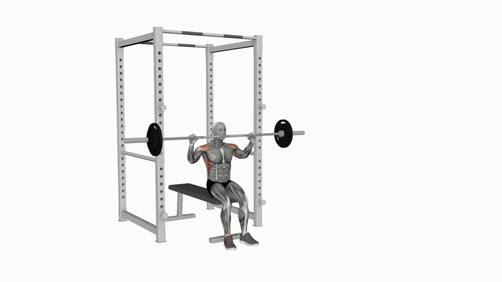 Beginner performing Barbell Seated Military Press in Front Rack position, demonstrating proper form and technique.
